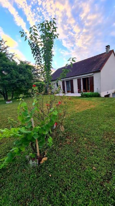 Maison Chaleureuse Avec Charme D'Ancien Jablines Exterior foto